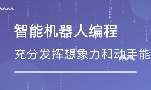 长沙少儿编程培训学校