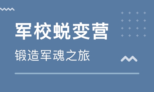 青岛平度市少儿编程培训班